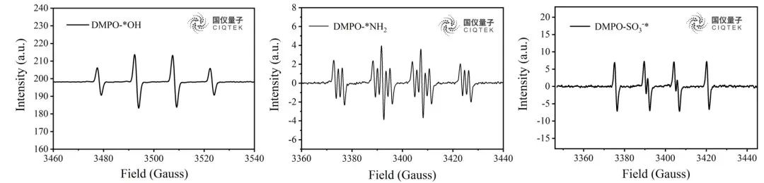 Abb. 4 EPR-Spektren von O-(a), N-(b) und S-(c)-Zentrumsradikalen, eingefangen durch DMPO.