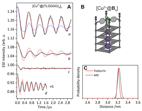 Anwendung-Elektronen-Elektronen-Doppelresonanz in der DNA-Strukturanalyse-Abb2