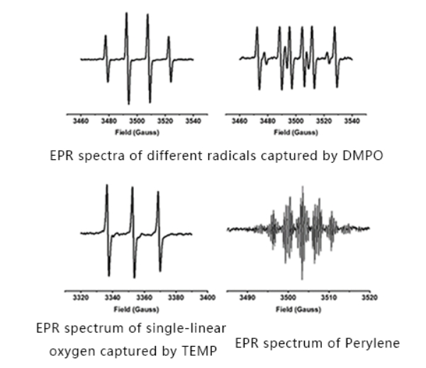 EPR-Spektrometeranwendungen Nachweis freier Radikale