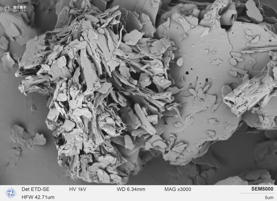 SEM5000 beobachtet deutlich das Wachstum der Magnesiumstearat-Flockenschicht