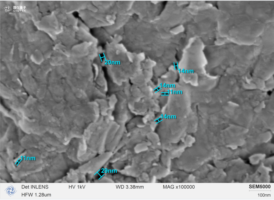 SEM5000 kann die einzelnen lamellaren Kristallite bei einer hohen Vergrößerung von 100.000 eindeutig identifizieren und ihre Porengröße analysieren.