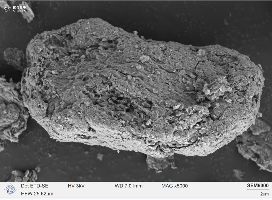 SEM5000 beobachtete feine lamellare kristalline Massen, die an der Oberfläche von Montmorillonit hafteten.