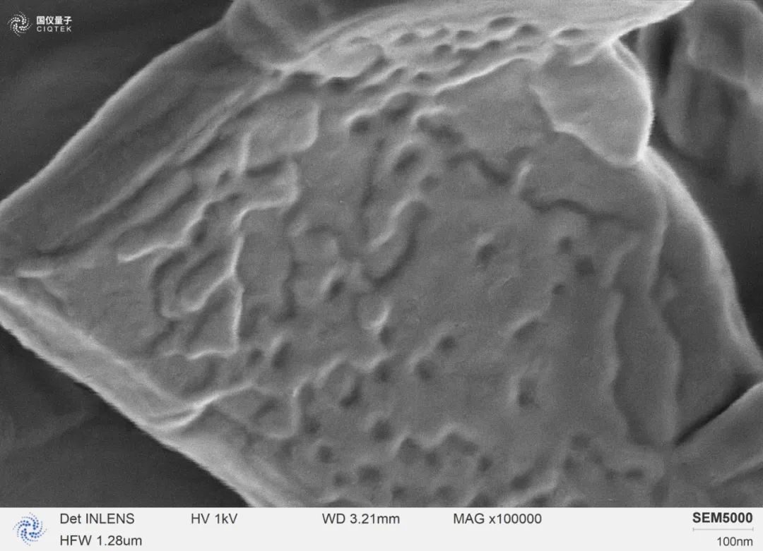 SEM5000 beobachtete die Magnesiumstearatflocken bei hoher Vergrößerung von 100.000