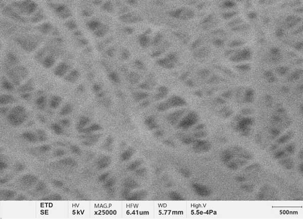 Abbildung a: Lithiumbatterie-Septum, fotografiert mit herkömmlichem Wolframfilament-REM, mit verschwommenen und unklaren Details