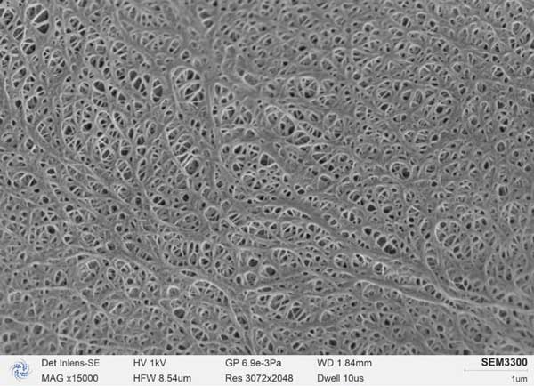 Abbildung b: SEM3300 fotografierte Lithiumbatterie-Membran, Membranporen deutlich sichtbar, die scharfe Kante des Lochs