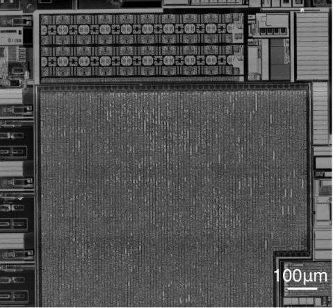 sem image analysis IC Chip (Metal Layer)