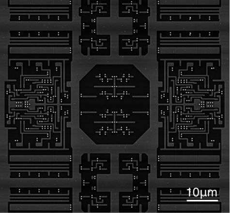 sem image analysis IC Chip (Metal layer)