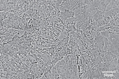 sem image analysis - Metallographic Structure