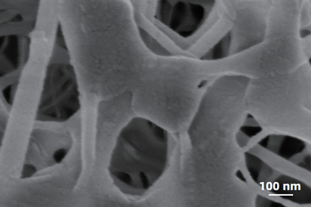 sem image analysis - Polymer