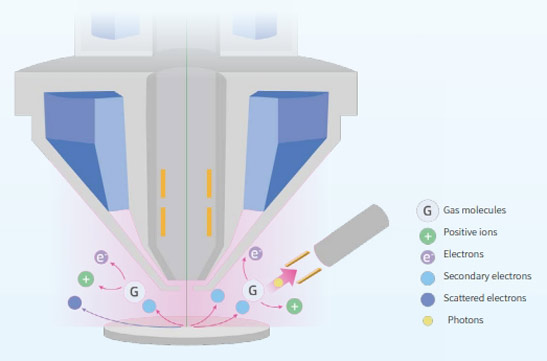 SEM Low Vacuum Mode