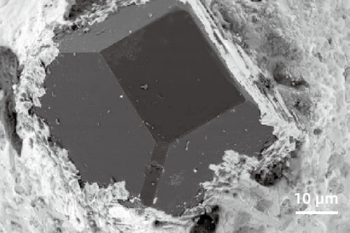 FESEM Microscope Atomic number contrast (Z-contrast)  image with retractable BackScattered Electron Detector imaging