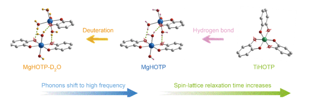 Figure 1 Hydrogen bonding network and phonon modulation of spin lattice relaxation in MQFs