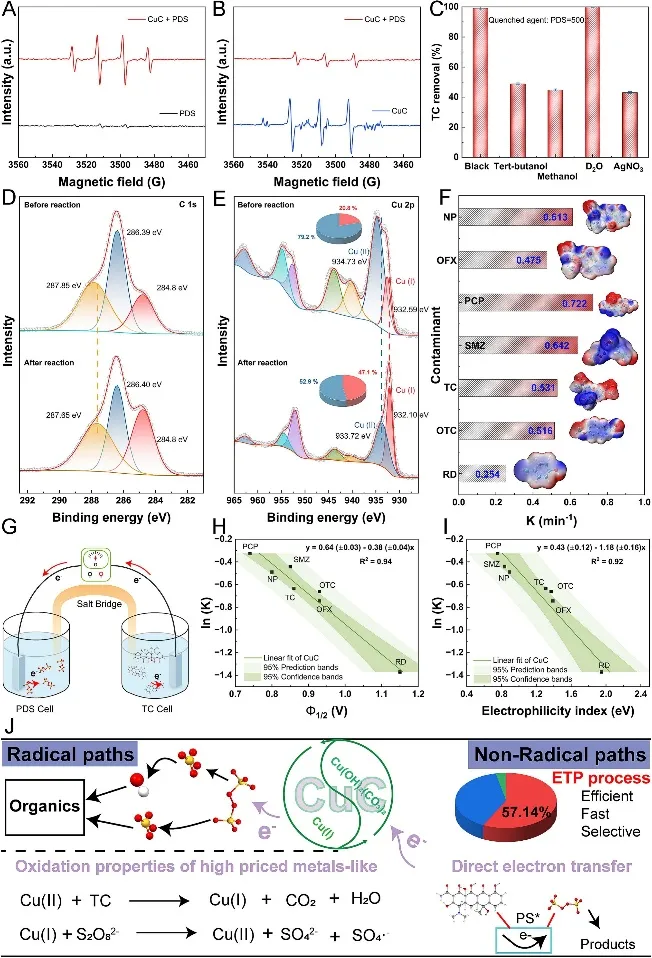 Figure 3. Activation Mechanism Analysis with Dual-Channel Catalytic Pathway