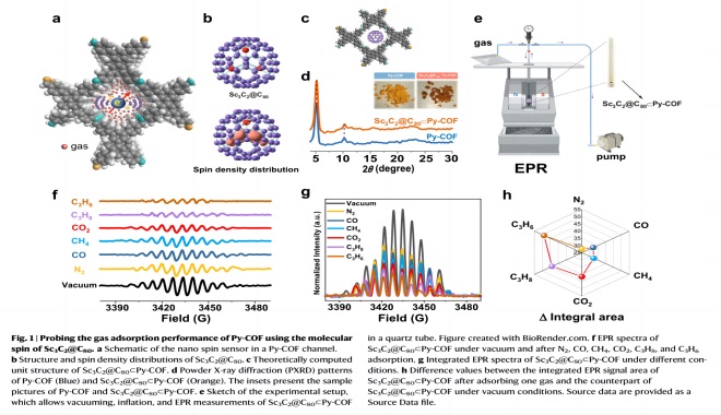 CIQTEK EPR (ESR) fördert die Nano-Spin-Sensorforschung