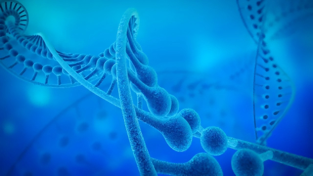 Die Anwendung der Elektron-Elektron-Doppelresonanztechnik (DEER) in der DNA-Strukturanalyse