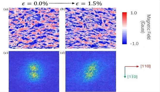 CIQTEK unterstützt die Forschung im Bereich der antiferromagnetischen Dünnschicht-Magnetbildgebung